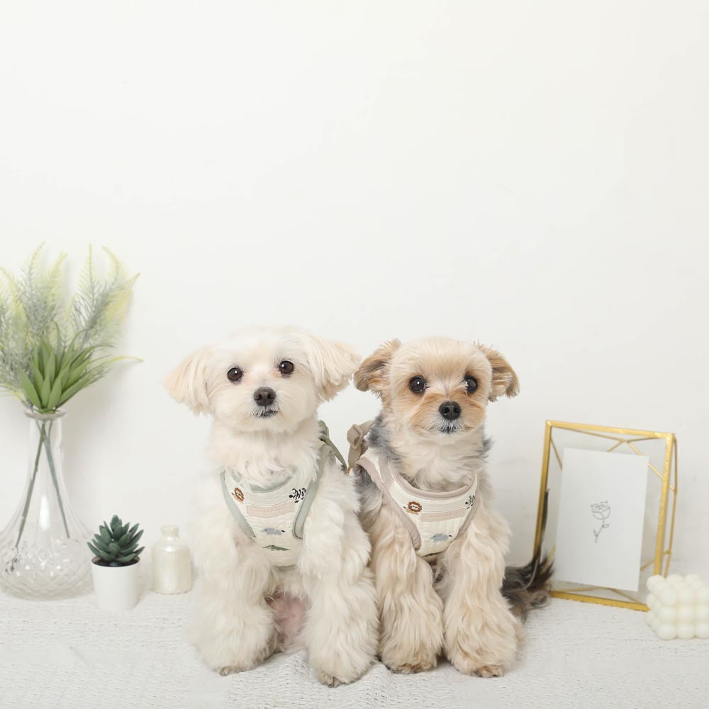 動物圖案刺繡胸背＋牽繩套裝－產品圖片7