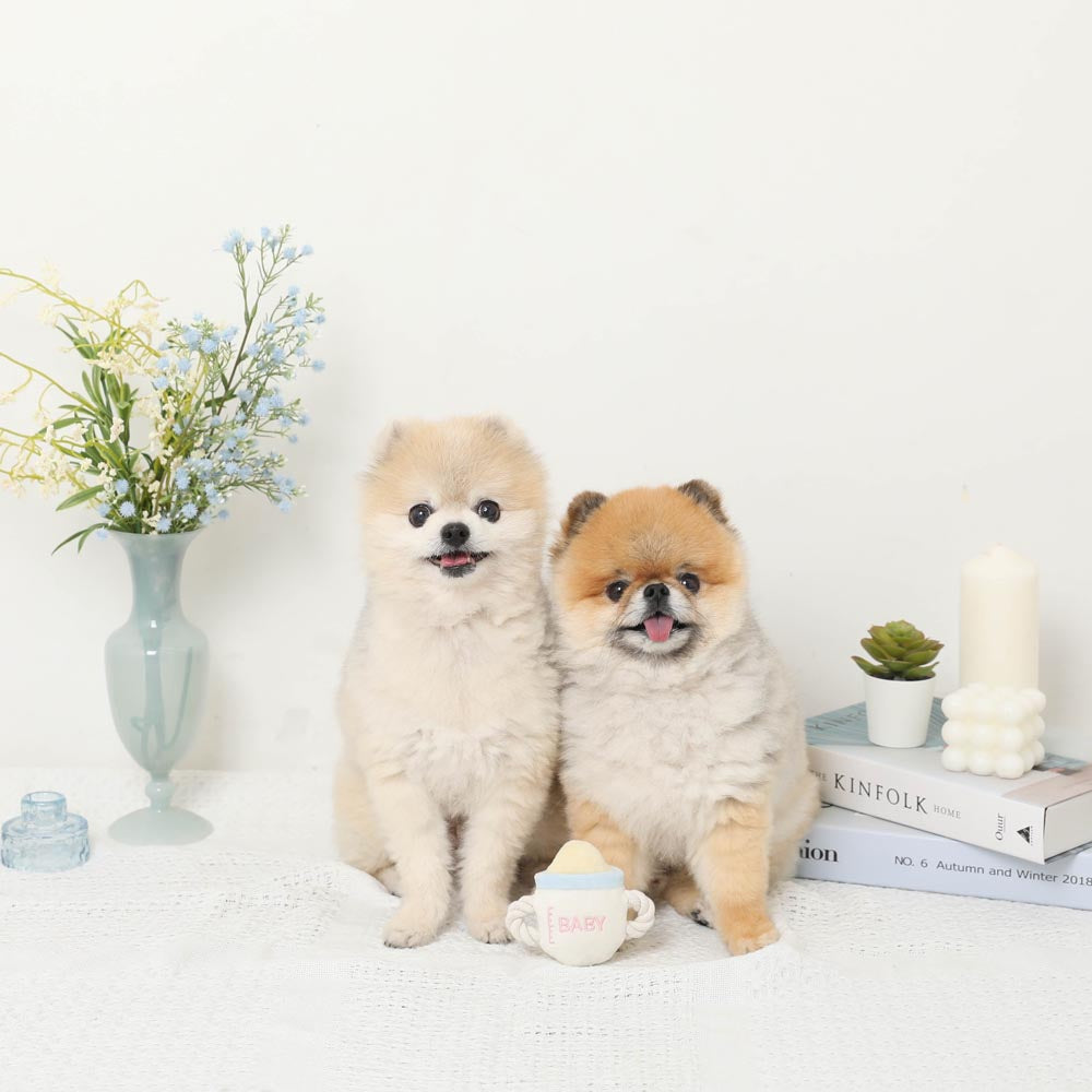 MONCHERI｜奶樽造型犬用玩具－官方產品圖片3