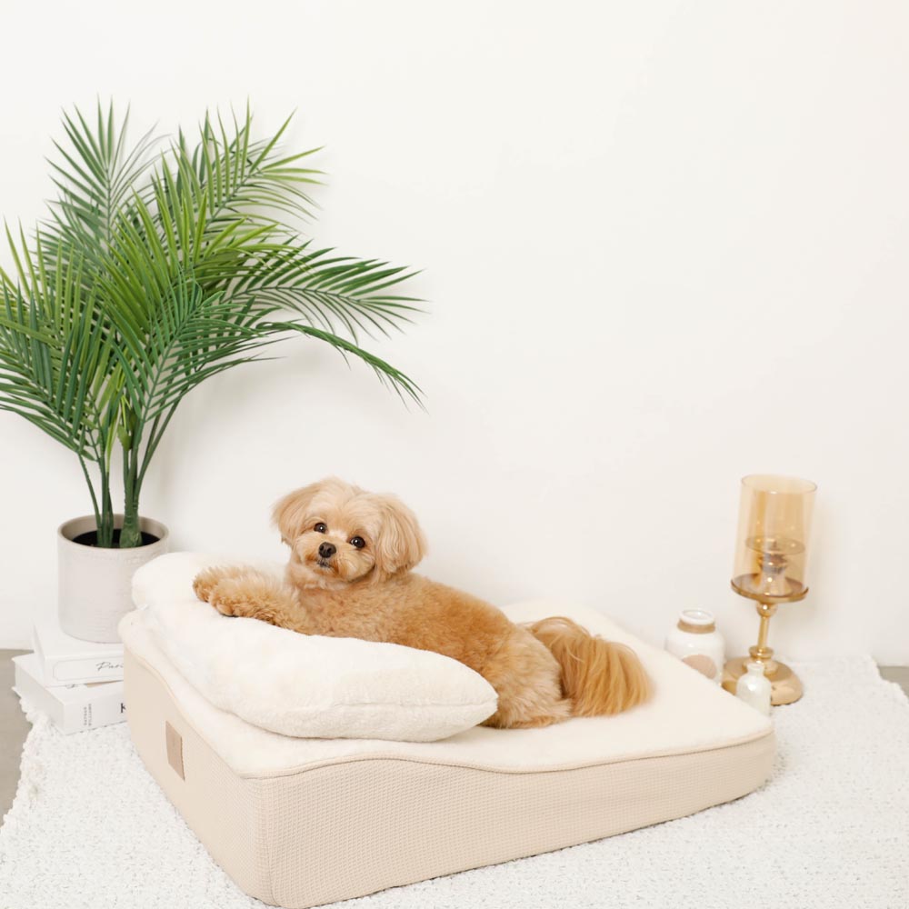 MONCHERI｜低回彈枕頭斜坡寵物床－官方產品圖片3