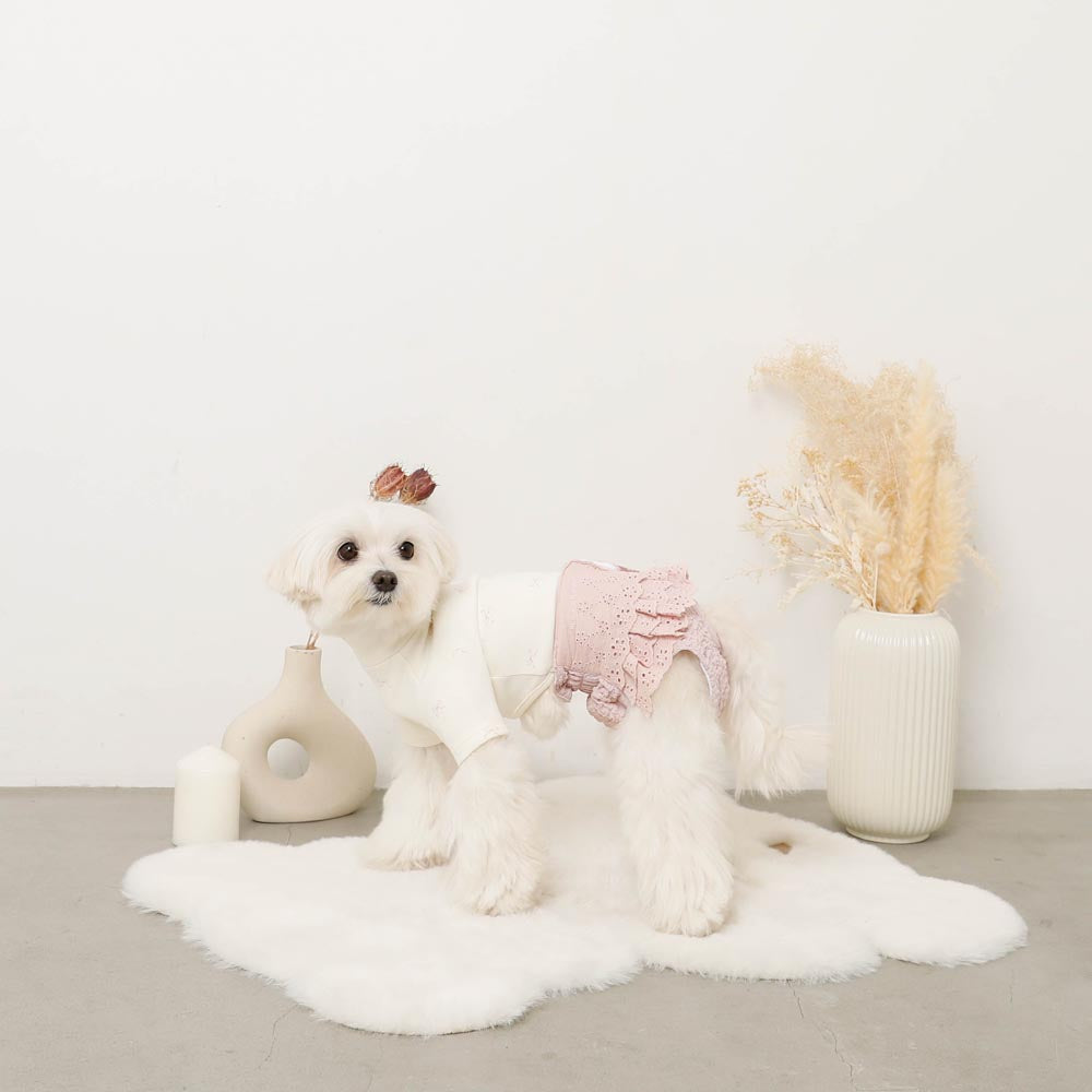 MONCHERI｜棉蕾絲荷葉邊犬用衛生褲－官方產品圖片3